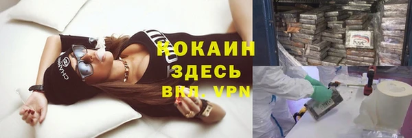 гашик Аркадак