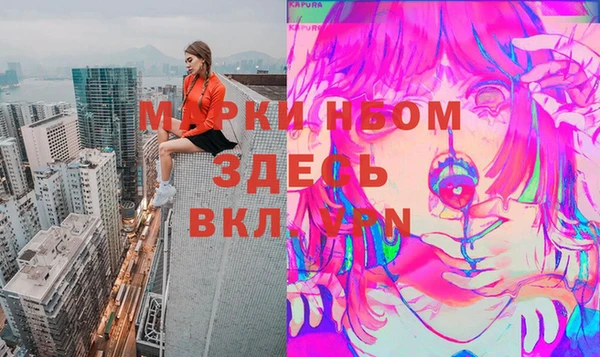 гашик Аркадак
