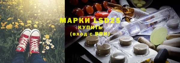 гашик Аркадак