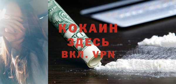 гашик Аркадак