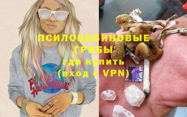 мдпв Арсеньев