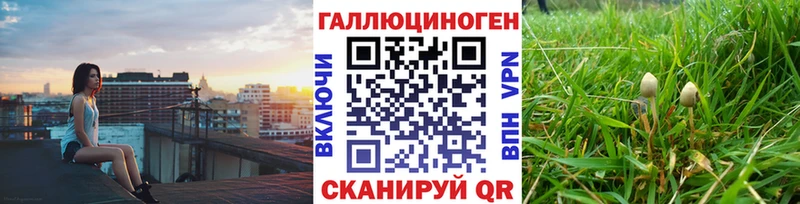 Псилоцибиновые грибы MAGIC MUSHROOMS  Новый Оскол 